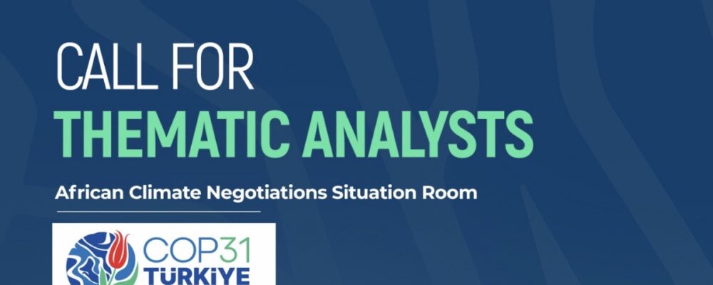 Call for Thematic Analyst COP31