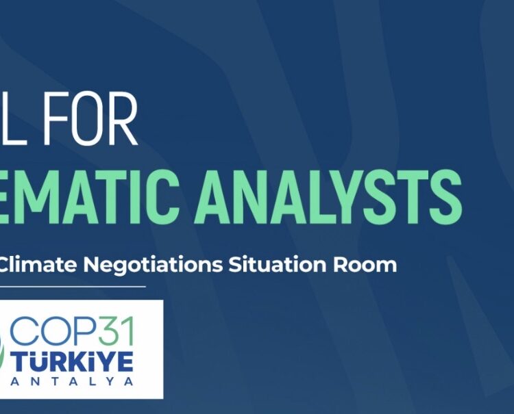 Call for Thematic Analyst COP31