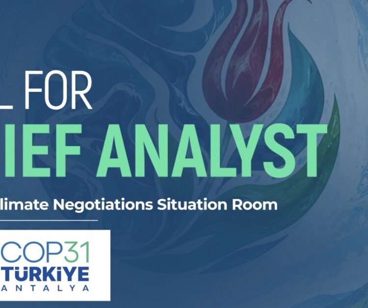 COP31 Situation Room Chief Analyst Call for Application